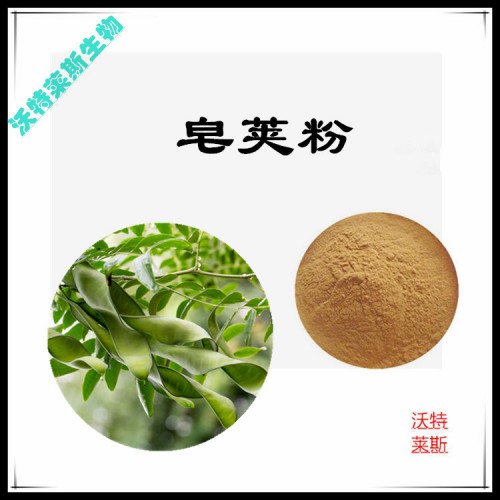 皂莢粉 皂莢提取物 皂莢浸膏 皂莢提取液