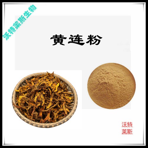 黃連粉 黃連提取物 黃連浸膏 黃連提取液