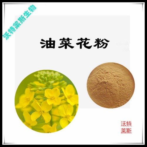油菜花粉 油菜花提取物 油菜花浸膏 油菜花提取液
