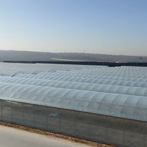 宿遷鋼架大棚廠 恒溫蔬菜大棚造價 農業大棚建設公司