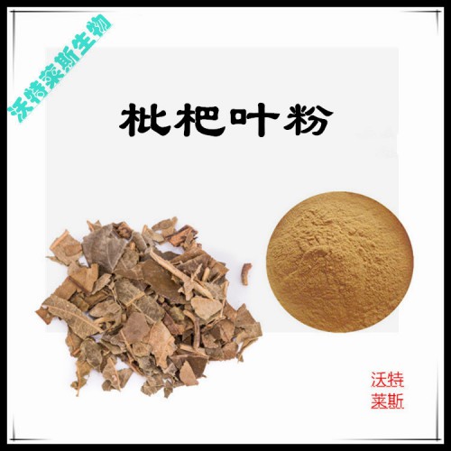 枇杷葉粉 枇杷葉提取物  枇杷葉浸膏 枇杷葉提取液