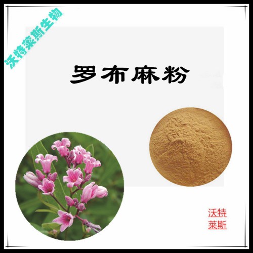 羅布麻粉 羅布麻提取物 羅布麻浸膏  羅布麻提取液