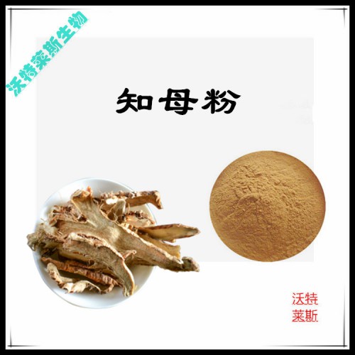 知母粉 知母提取物 知母浸膏  知母提取液
