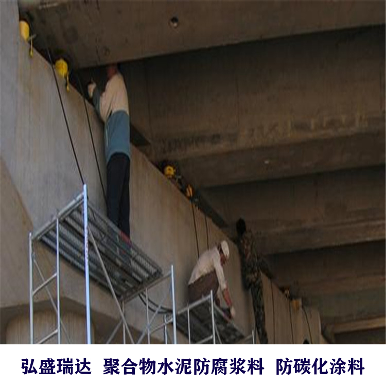 防腐水泥漿 (261)