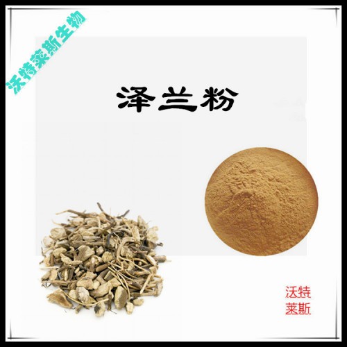 澤蘭粉 澤蘭提取物 澤蘭浸膏  澤蘭提取液