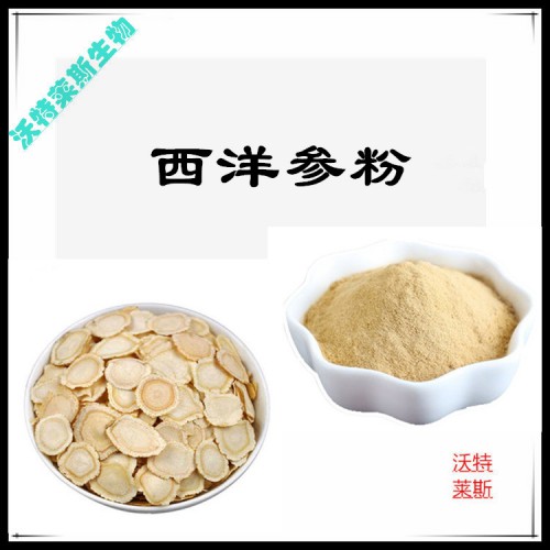 西洋參粉 西洋參提取物 西洋參浸膏 西洋參提取液