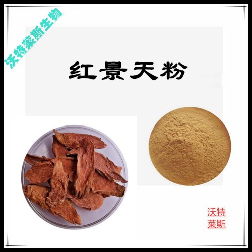 紅景天粉  紅景天提取物  紅景天浸膏  紅景天提取液