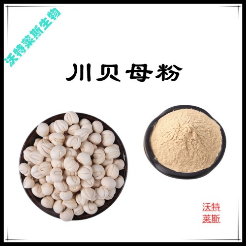 川貝母粉 川貝母提取物  川貝母浸膏 川貝母提取液