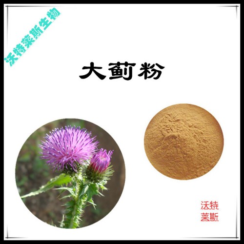 大薊粉  大薊提取物  大薊浸膏 大薊提取液