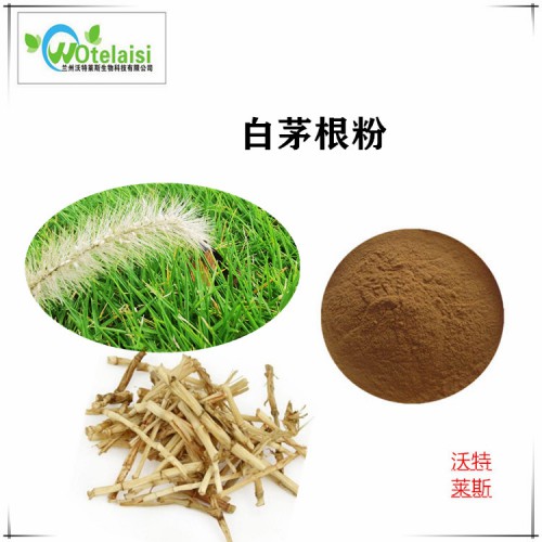 白茅根粉 白茅根提取物  白茅根浸膏 白茅根提取液