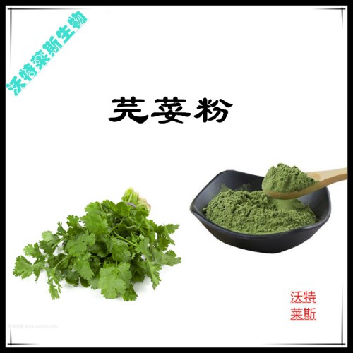 芫荽粉 芫荽提取物  芫荽浸膏 芫荽提取液