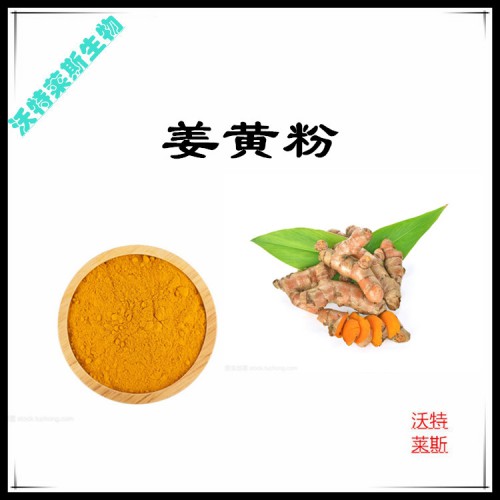 姜黃粉 姜黃提取物  姜黃浸膏  姜黃提取液