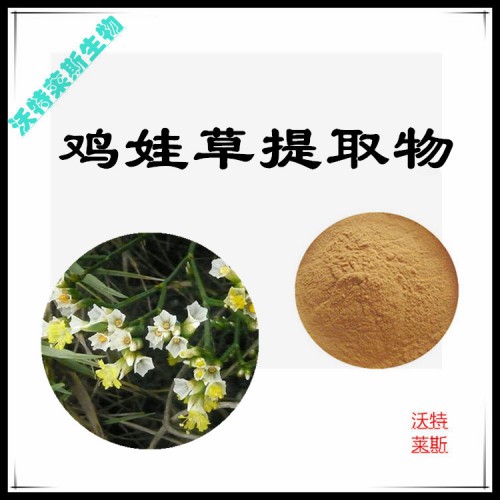 雞娃草粉 雞娃草提取物 雞娃草浸膏 雞娃草提取液