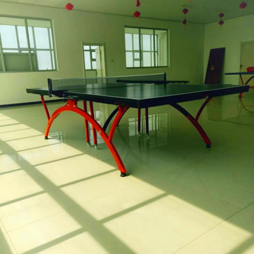 乒乓球臺的價格參數(shù) 乒乓球臺的生產(chǎn)廠家  乒乓球臺的質(zhì)量