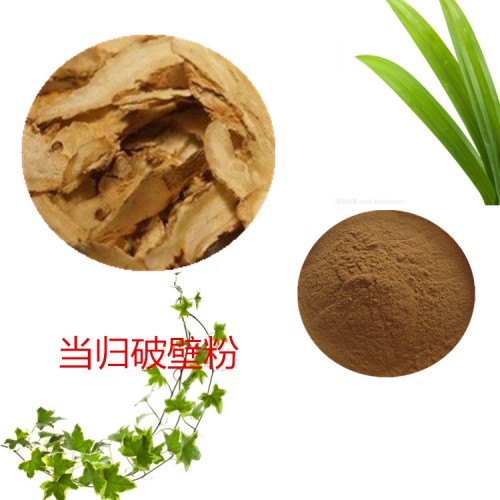當(dāng)歸粉 當(dāng)歸破壁粉 當(dāng)歸浸膏  當(dāng)歸提取液