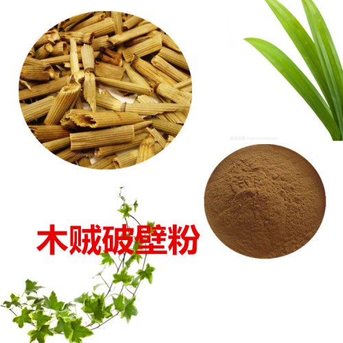 木賊粉  木賊破壁粉  木賊浸膏 木賊提取液