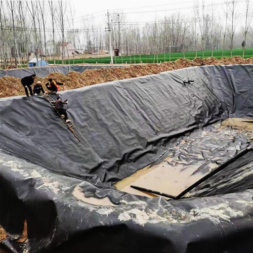 藕池土工膜 藕池膜 藕池防滲土工膜