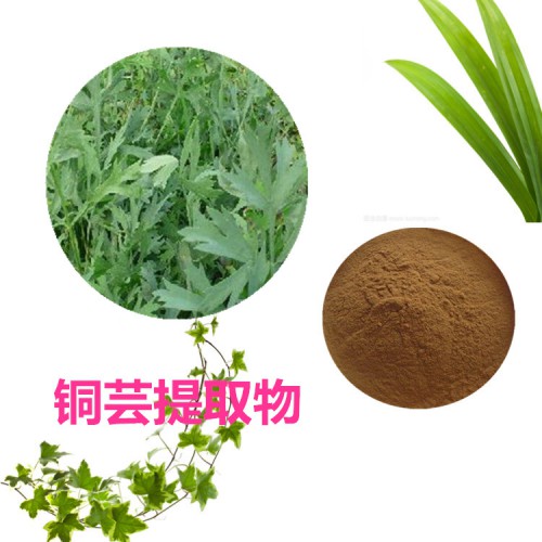 銅蕓速溶粉 銅蕓提取物 銅蕓浸膏 銅蕓浸膏粉