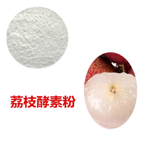 荔枝酵素粉 荔枝膳食纖維 荔枝粉  荔枝提取物