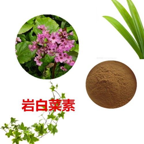巖白菜提取物 巖白菜素 95%