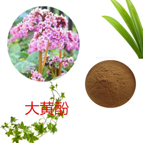 大黃酚2%   大黃提取物  大黃粉  大黃浸膏