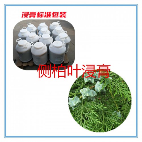 側柏葉浸膏  側柏葉提取液 側柏葉浸膏粉 側柏葉提取物