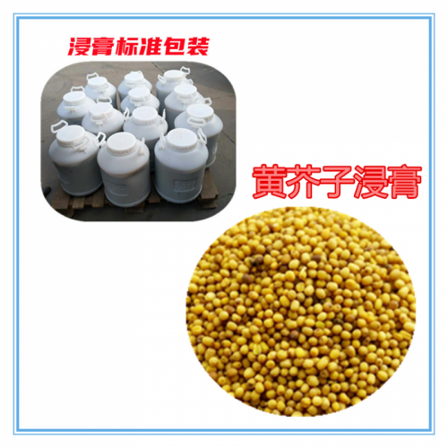 黃芥子浸膏 黃芥子浸膏粉 黃芥子提取物 黃芥子粉