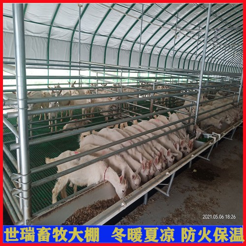 搭建養(yǎng)羊大棚 山羊養(yǎng)殖大棚建設(shè) 養(yǎng)羊舍大棚施工包工包料