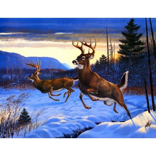 純手繪油畫動(dòng)物油畫 純手繪油畫