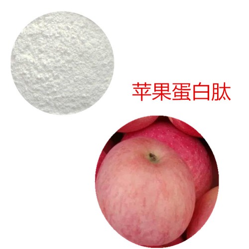 蘋果肽粉 蘋果小分子肽  蘋果蛋白 蘋果粉