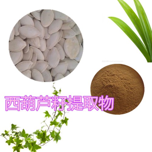西葫蘆籽粉  西葫蘆籽提取物 西葫蘆籽浸膏 西葫蘆籽提取液
