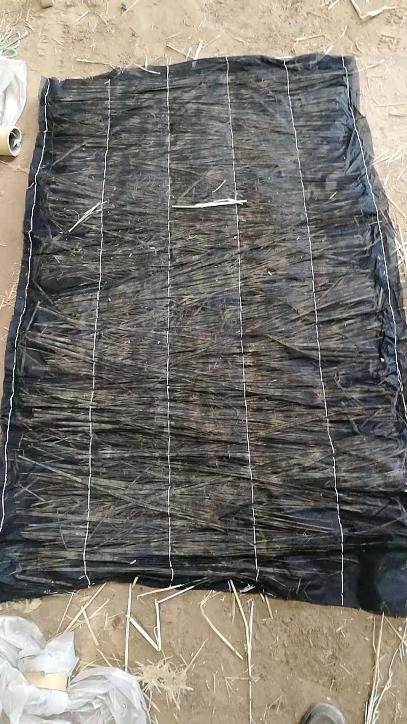 微信圖片_202110221442332