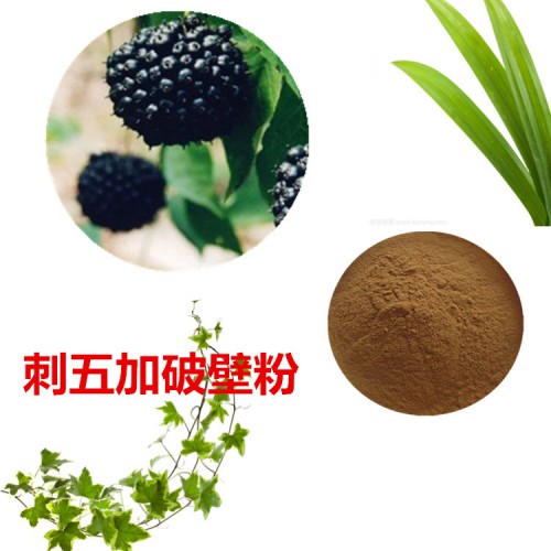 刺五加提取物 刺五加粉 刺五加浸膏 刺五加破壁粉
