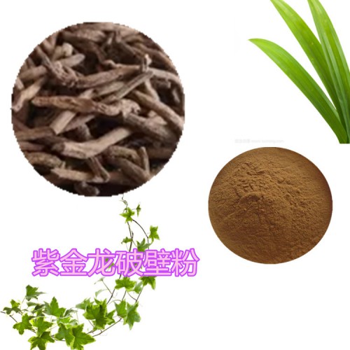 紫金龍破壁粉 紫金龍?zhí)崛∥? 紫金龍粉  紫金龍浸膏