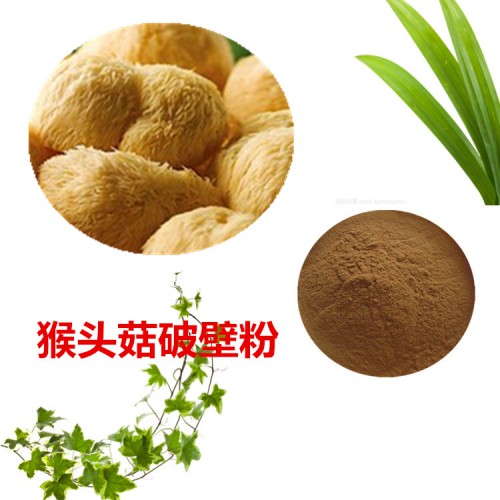 猴頭菇破壁粉  猴頭菇提取物  猴頭菇粉 猴頭菇浸膏