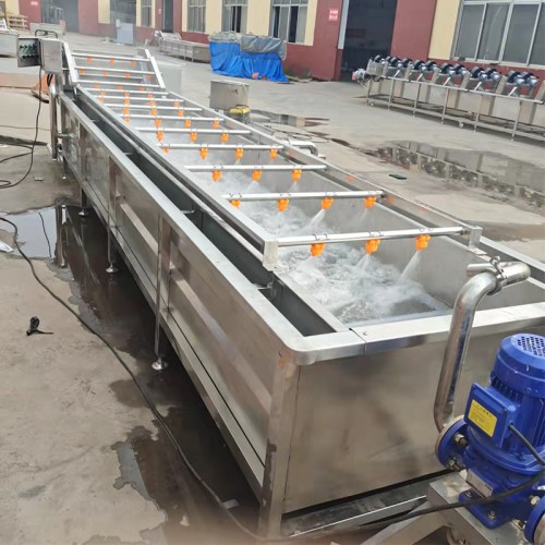 義康牌  西紅柿清洗機  圣女果清洗機  百香果清洗機