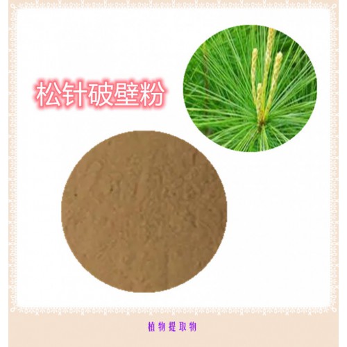 松針粉 松針提取物 松針浸膏 松針破壁粉