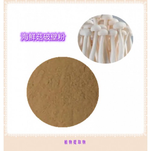 海鮮菇提取物 海鮮菇浸膏  海鮮菇粉  海鮮菇破壁粉