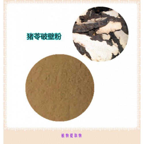 豬苓粉 豬苓提取物 豬苓浸膏 豬苓破壁粉