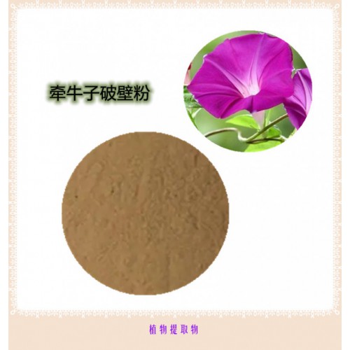 牽牛子粉 牽牛子提取物 牽牛子浸膏 牽牛子破壁粉
