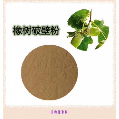 橡樹粉   橡樹提取物  橡樹浸膏 橡樹破壁粉