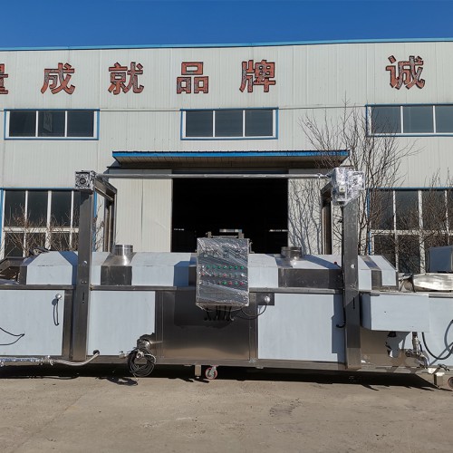 連續(xù)式油炸線 全自動(dòng)油炸線 油炸線廠家