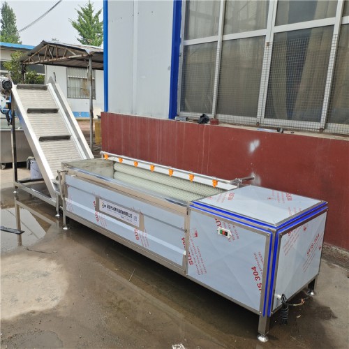 義康牌 蘿卜清洗機  胡蘿卜清洗設備 藠頭清洗機