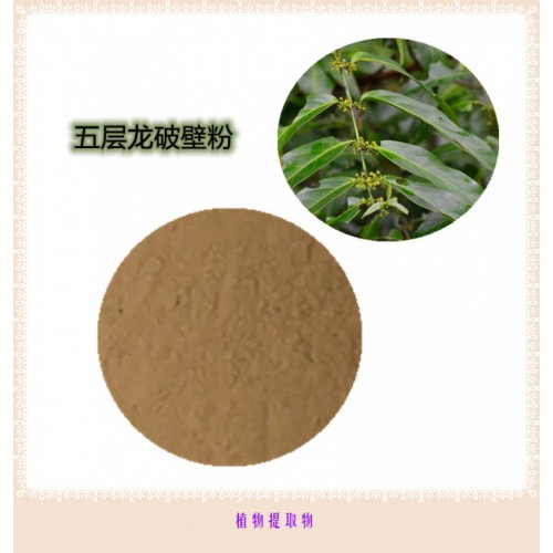 五層龍粉 五層龍破壁粉 五層龍浸膏 五層龍提取液