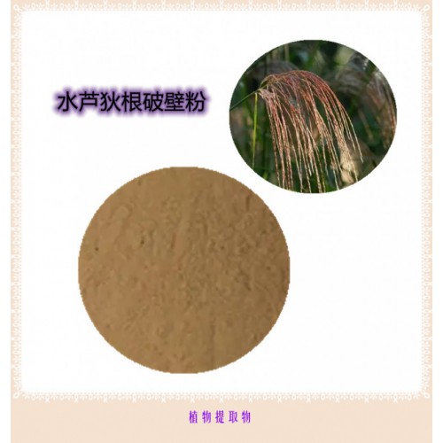 水蘆狄根粉 水蘆狄根提取物 水蘆狄根浸膏 水蘆狄根破壁粉