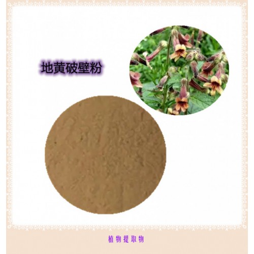 地黃粉 地黃提取物 地黃浸膏 地黃壁粉