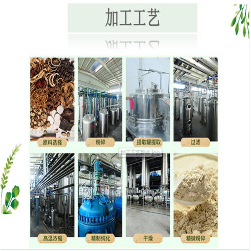 龍芽粉 龍芽提取物 龍芽浸膏 龍芽破壁粉