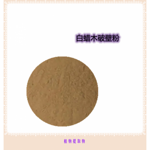 白蠟木粉 白蠟木提取物 白蠟木浸膏 白蠟木破壁粉