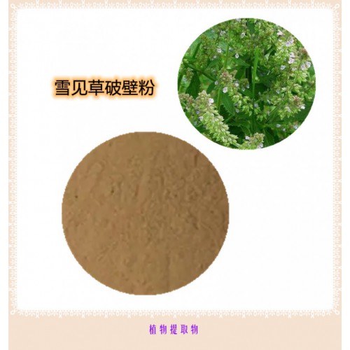 雪見草提取物 雪見草浸膏   雪見草粉 雪見草破壁粉