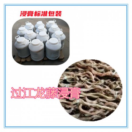 過江龍藤提取物 過江龍藤浸膏   過江龍藤粉 過江龍藤破壁粉